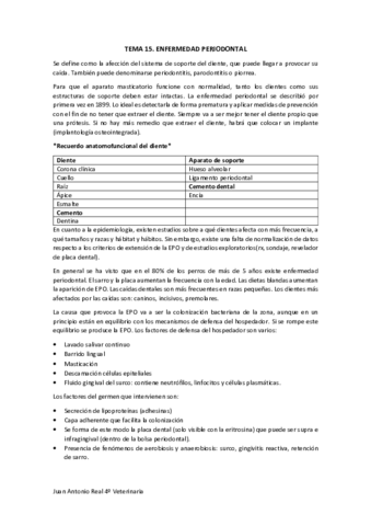 Tema-15-.pdf