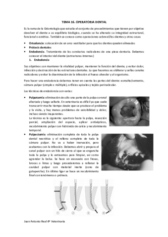 Tema-16-.pdf