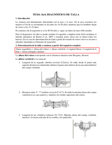 Tema-16.pdf