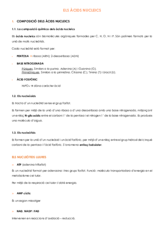 TEMA-5-ELS-ACIDS-NUCLEICS.pdf