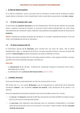 TEMA-8-ORGANULS-CELLULARS-DELIMITATS-PER-MEMBRANES.pdf