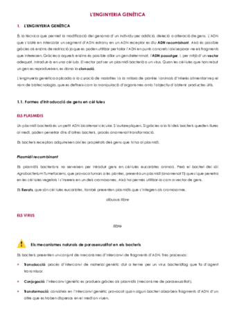 TEMA-11-2.pdf