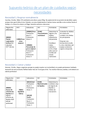 Plan-de-cuidados.pdf