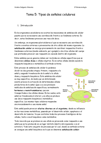 Tema-5.pdf