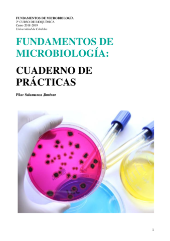 MEMORIA-PRACTICAS-MICROBIOLOGIA.pdf