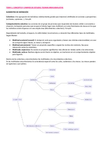 TEMA-1-Accion-Publica.pdf
