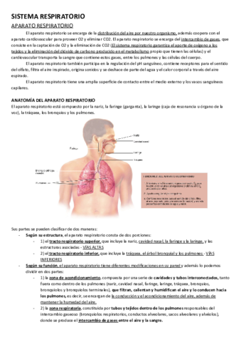 Sistema-Respiratorio.pdf