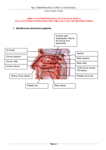 ANATOMIA-I-FISIOLOGIA-DELS-ORGANS-I-LES-VIES-RESPIRATORIES.pdf