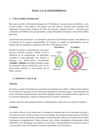 Resumen-tema-2-botanica-II.pdf