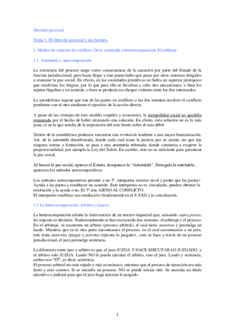 Apuntes-Procesal-I-1-1.pdf
