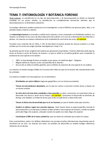 TEMA-7.pdf