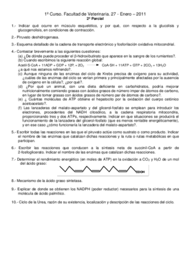 examenes bioquimica vet y cta.pdf