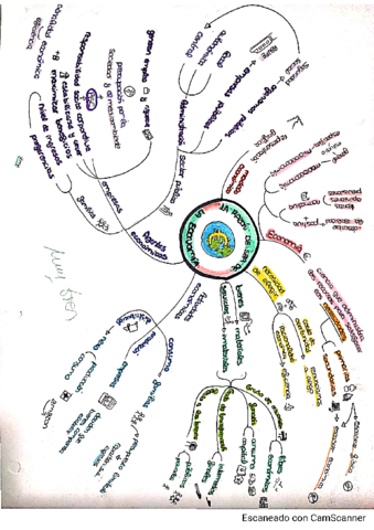 MapasmentalesTodos-los-temas.pdf