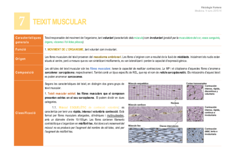 7. Teixit muscular.pdf