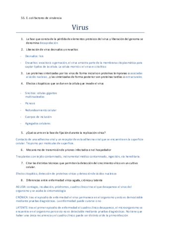 Preguntas-VIRUS.pdf