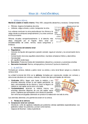 Tema-25-Funcion-renal.pdf