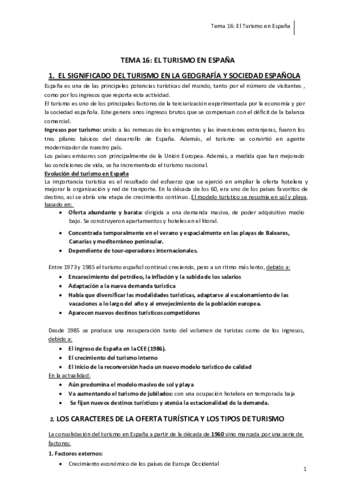 RESUMENES-TEMA-16.pdf