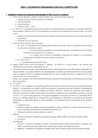 TEMA-1-Derechos-fundamentales.pdf