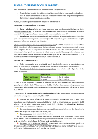 tema-3-penal.pdf