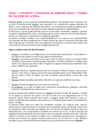 PENAL-APUNTES.pdf