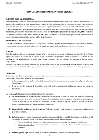 Tema-1.pdf