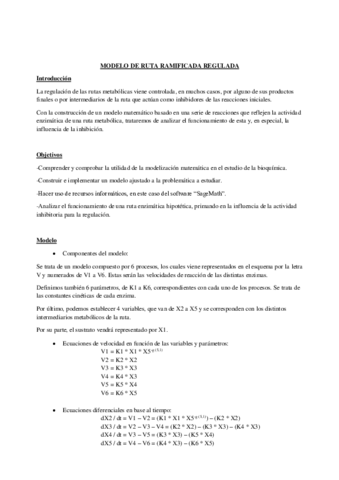 Practica-de-modelizacion-.pdf