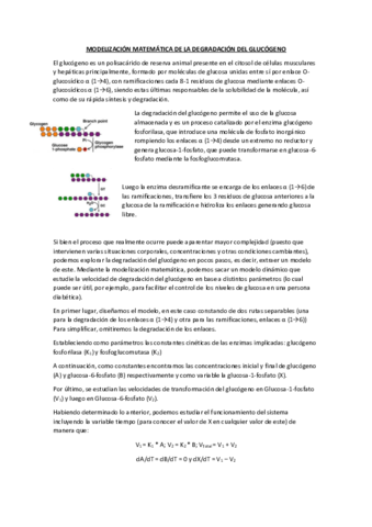 Modelizacion-degradacion-glucogeno.pdf