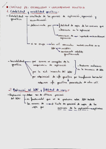 7c95439aaa15426caa257802f7448829.pdf