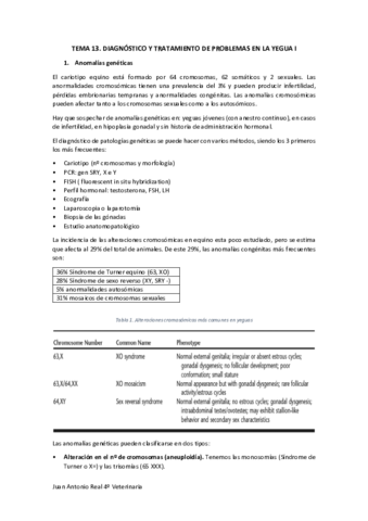 Tema-13.pdf