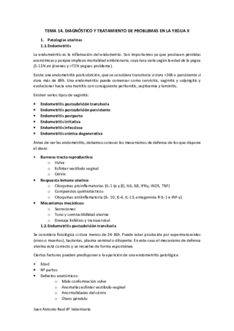 Tema-14.pdf