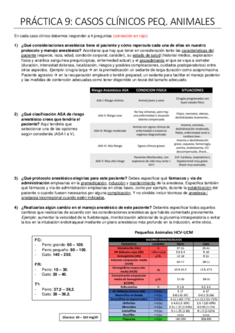 Practica-9-Casos-clinicos-pequenos-animales-corregido.pdf