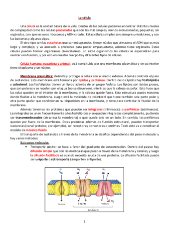 TEMARIO-BIOLOGIA.pdf