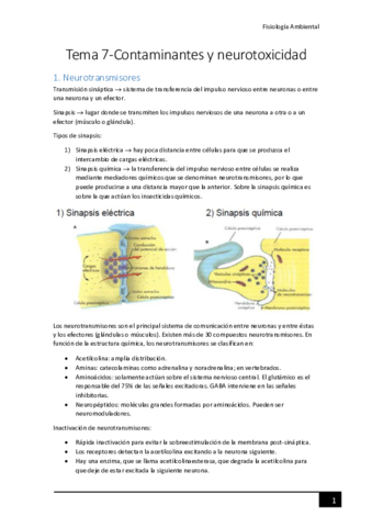 Tema-7-Neurotoxicidad-de-contaminantes.pdf