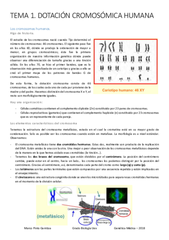 TEMA-1-2-3-GENETICA-MEDICA.pdf