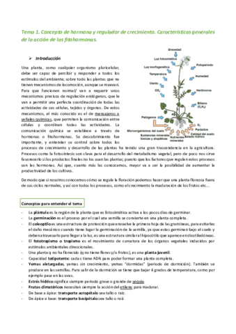 Tema-1.pdf