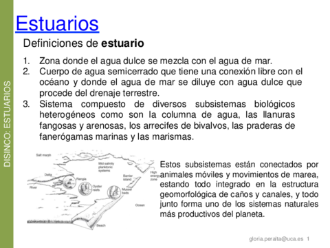 1-ESTUARIOS-APUNTES-.pdf