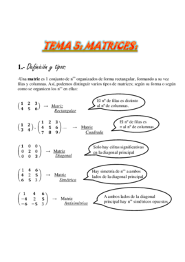 TEMA 5.Matrices.pdf