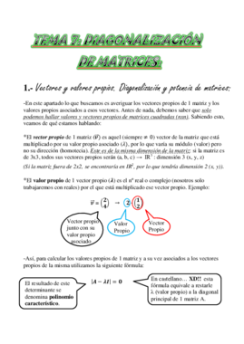 TEMA 7.Diagonalización de Matrices.pdf