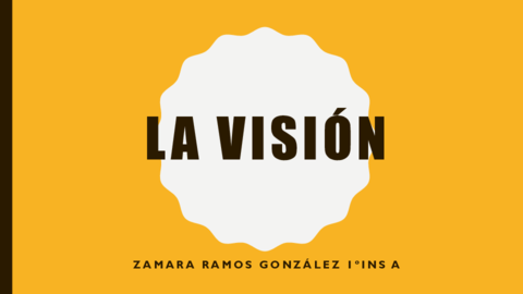 LA-VISION.pdf