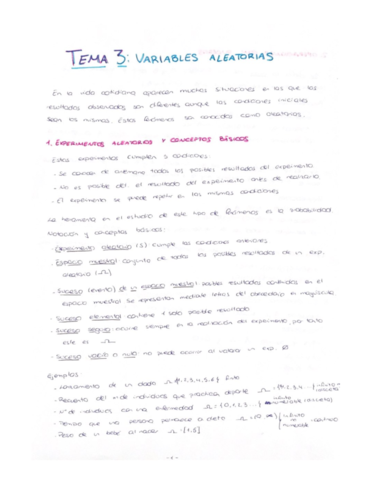 Tema-3-ES.pdf