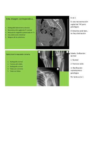 seminarios-radiologia-locomotor.pdf