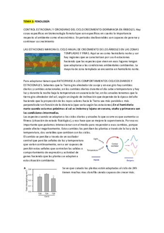 Biotecnologia-Forestal-temas-345.pdf