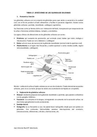Tema-17.pdf