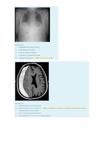 Seminario-Radiologia.pdf