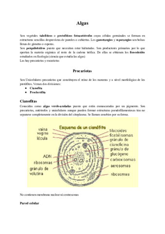 Algas-2.pdf