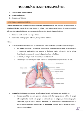 Tema-3-Sistema-linfatico-APUNTS.pdf