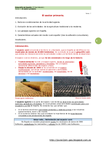 tema7-Sector-Primario.pdf