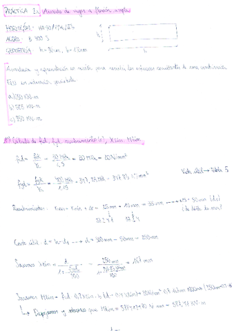 Practica-2a-Armado-de-vigas-a-flexion-simple.pdf