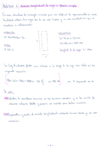 Practica-3-Armado-longitudinal-de-vigas-a-flexion-simple.pdf