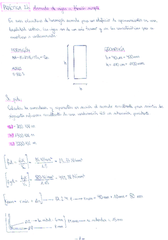 Practica-2b-Armado-de-vigas-a-flexion-simple.pdf